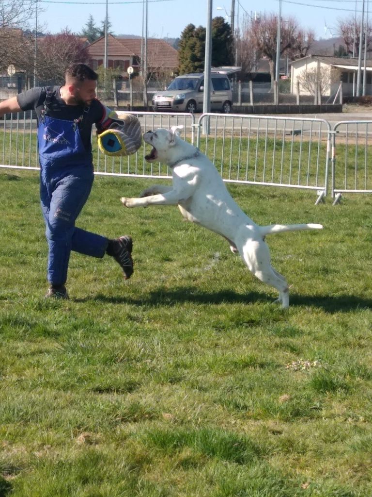 Publication : Du Clos Du Griffin