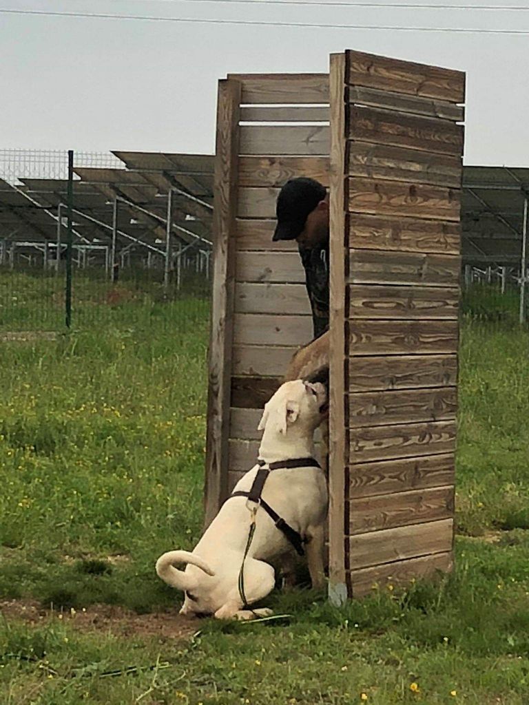 Publication : Du Clos Du Griffin