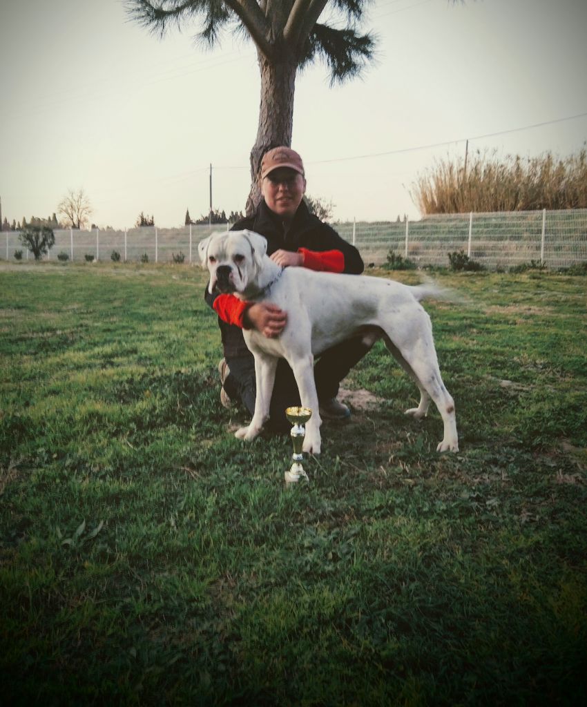 Minion sven du royaume de sky - Certificat