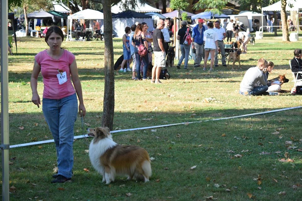 Let's dance des Collines de Sagne - 1ére excellente en ouverte