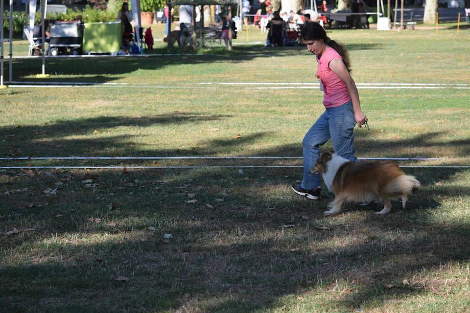 Let's dance des Collines de Sagne - 2ème excellente en ouverte