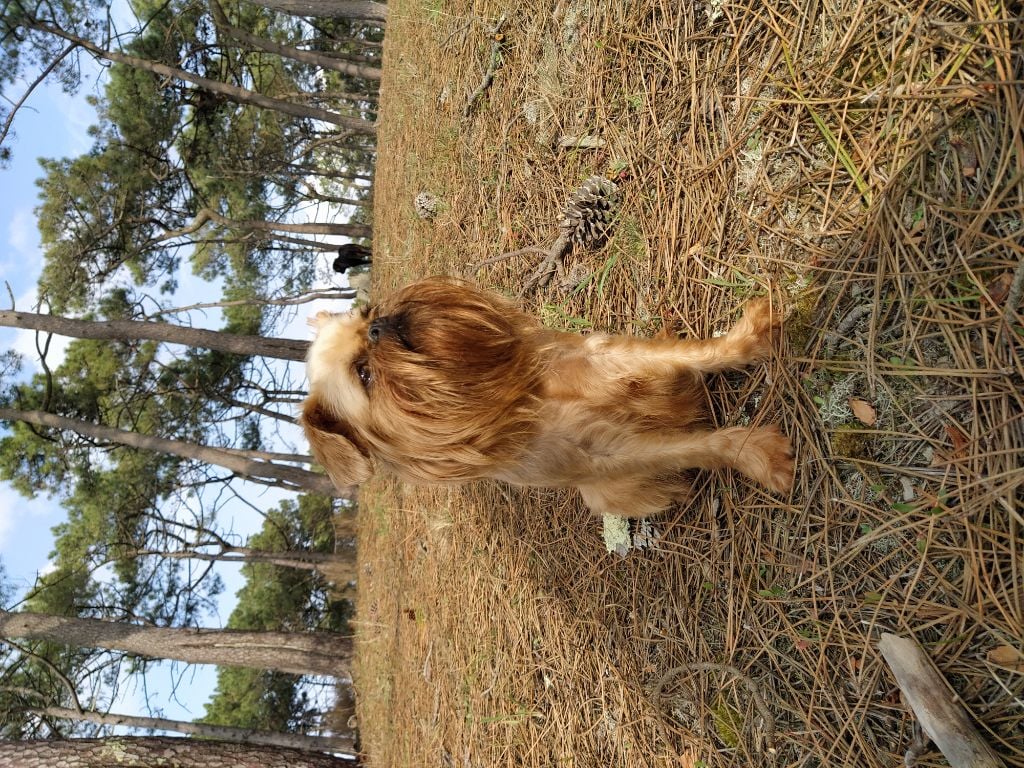 Publication : Du Bleu Médoc Auteur : Jean-louis Bert