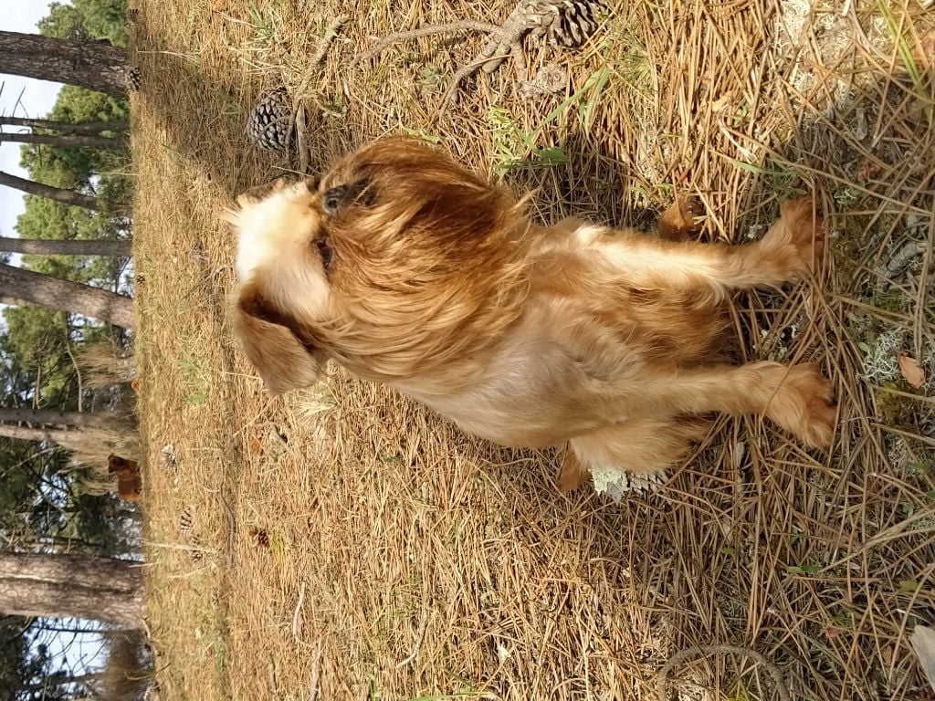 Publication : Du Bleu Médoc Auteur : Jean-louis Bert
