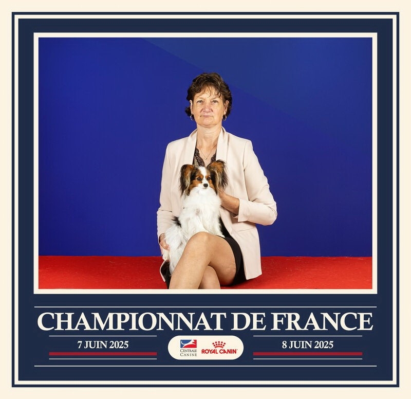 Publication : des rèves polaires