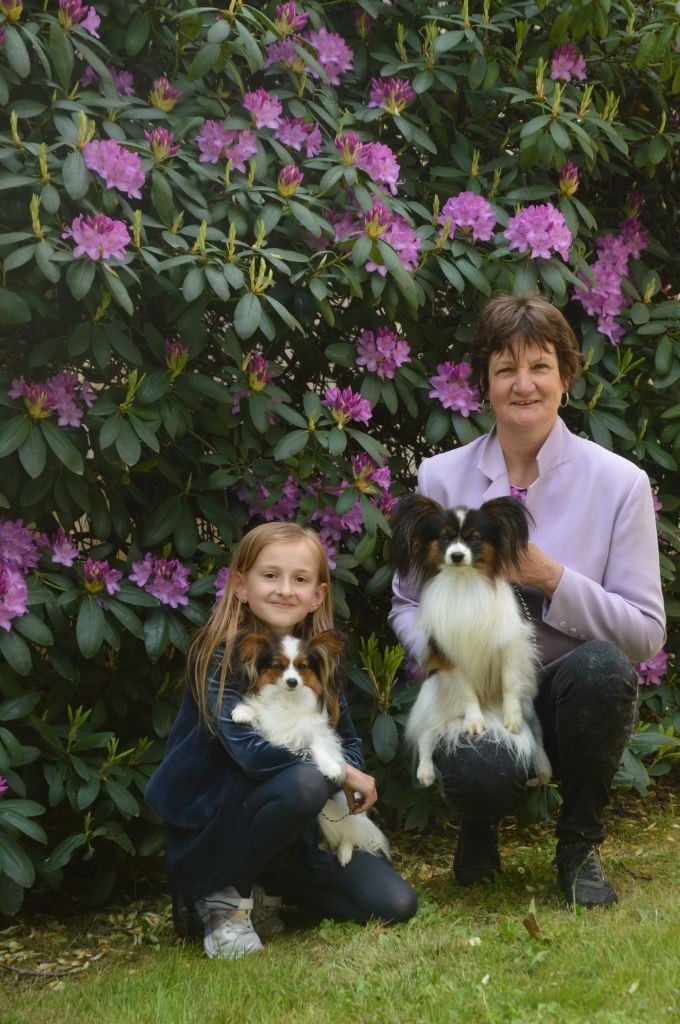 Publication : des rèves polaires