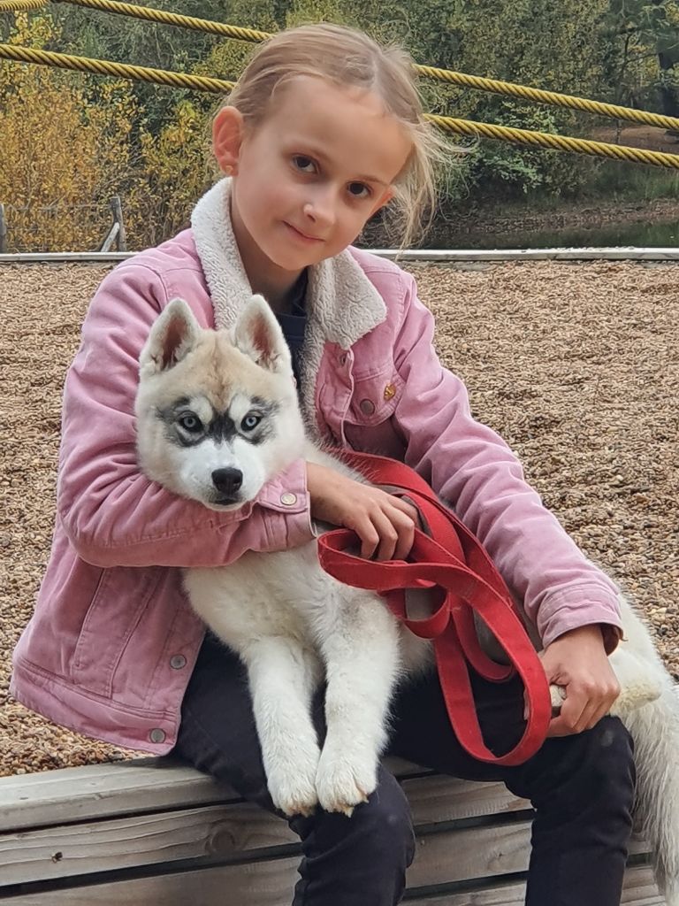 Publication : des rèves polaires Auteur : Carré Isabelle