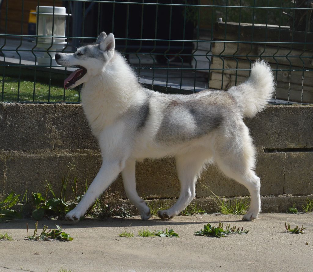 Unity Of City Dream's