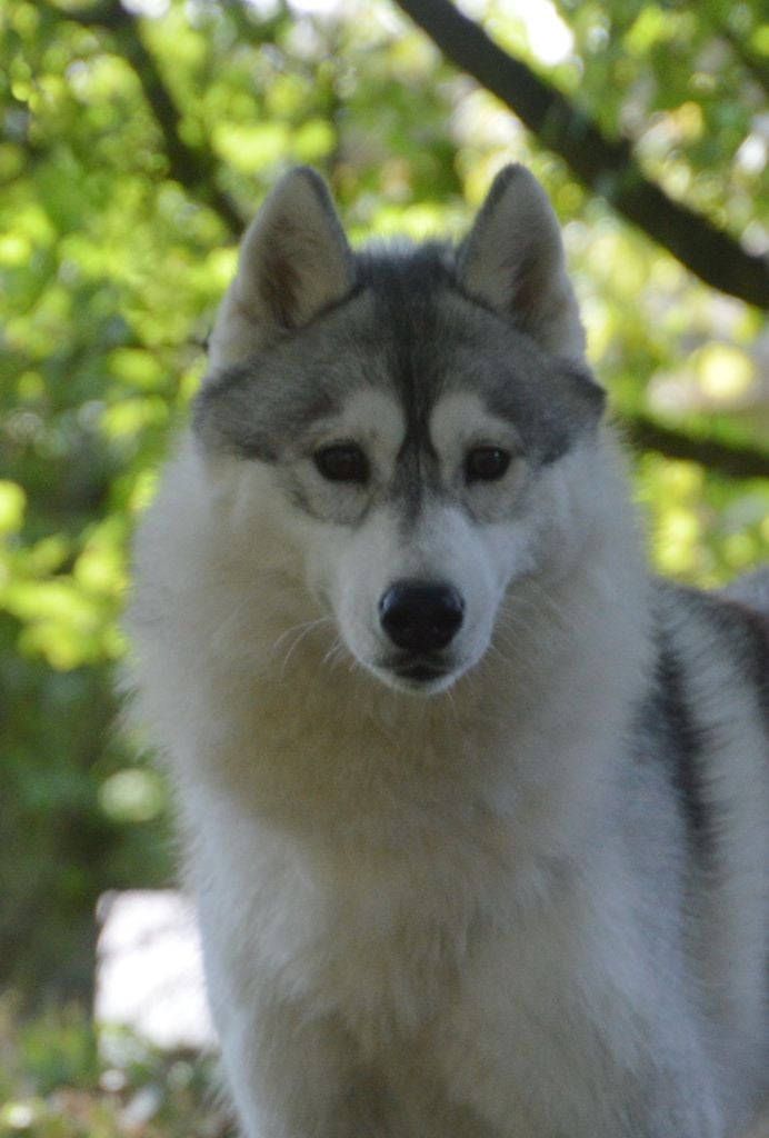 Unity Of City Dream's