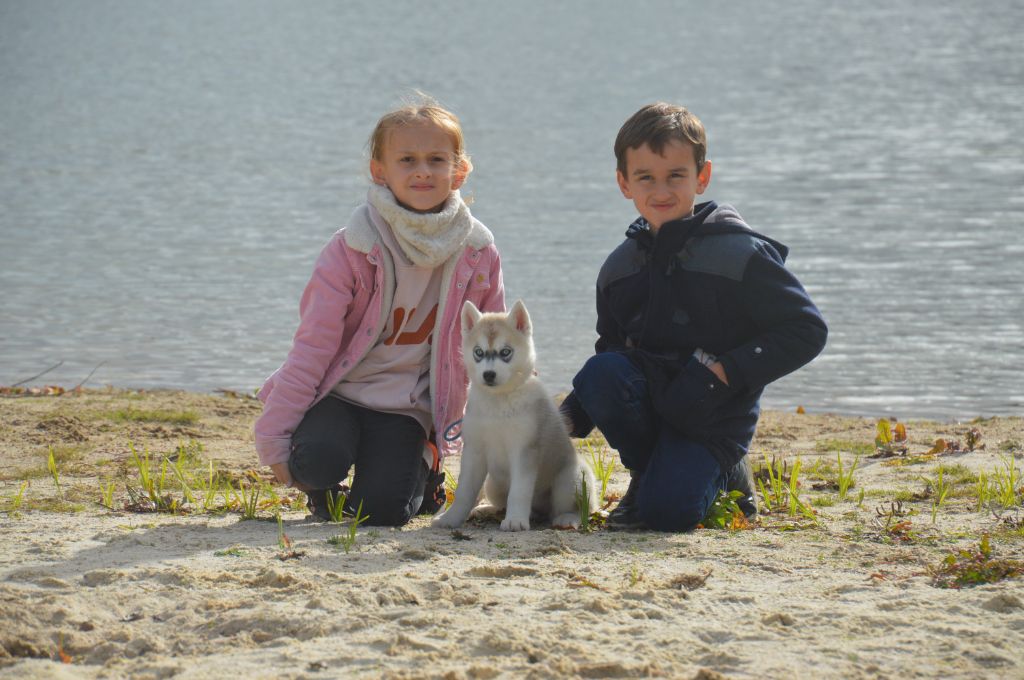Azur des rêves polaires des rèves polaires