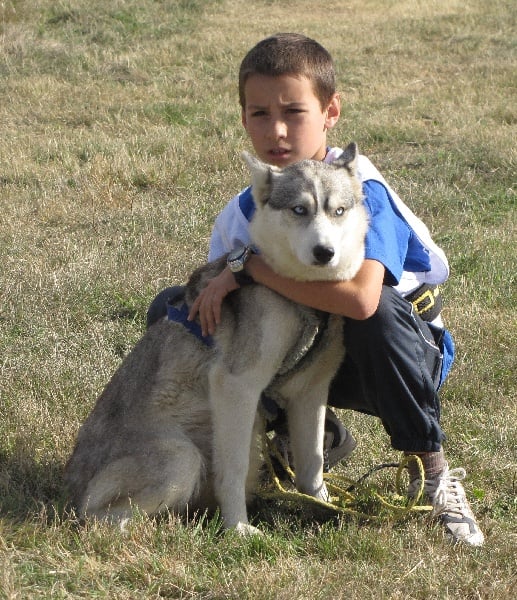 Coya de Politeiakhan