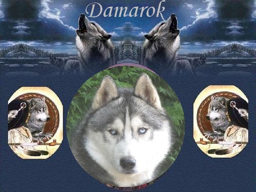 Publication : des rèves polaires Auteur : Isabelle Carré