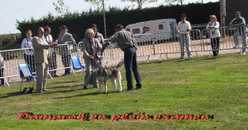 Publication : des rèves polaires Auteur : Isabelle Carré