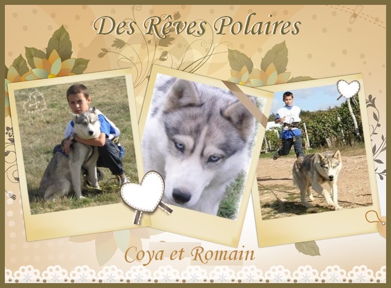 Coya de Politeiakhan