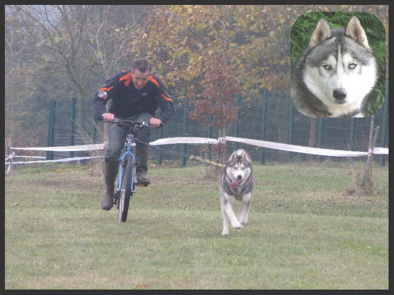 Publication : des rèves polaires Auteur : Isabelle Carré