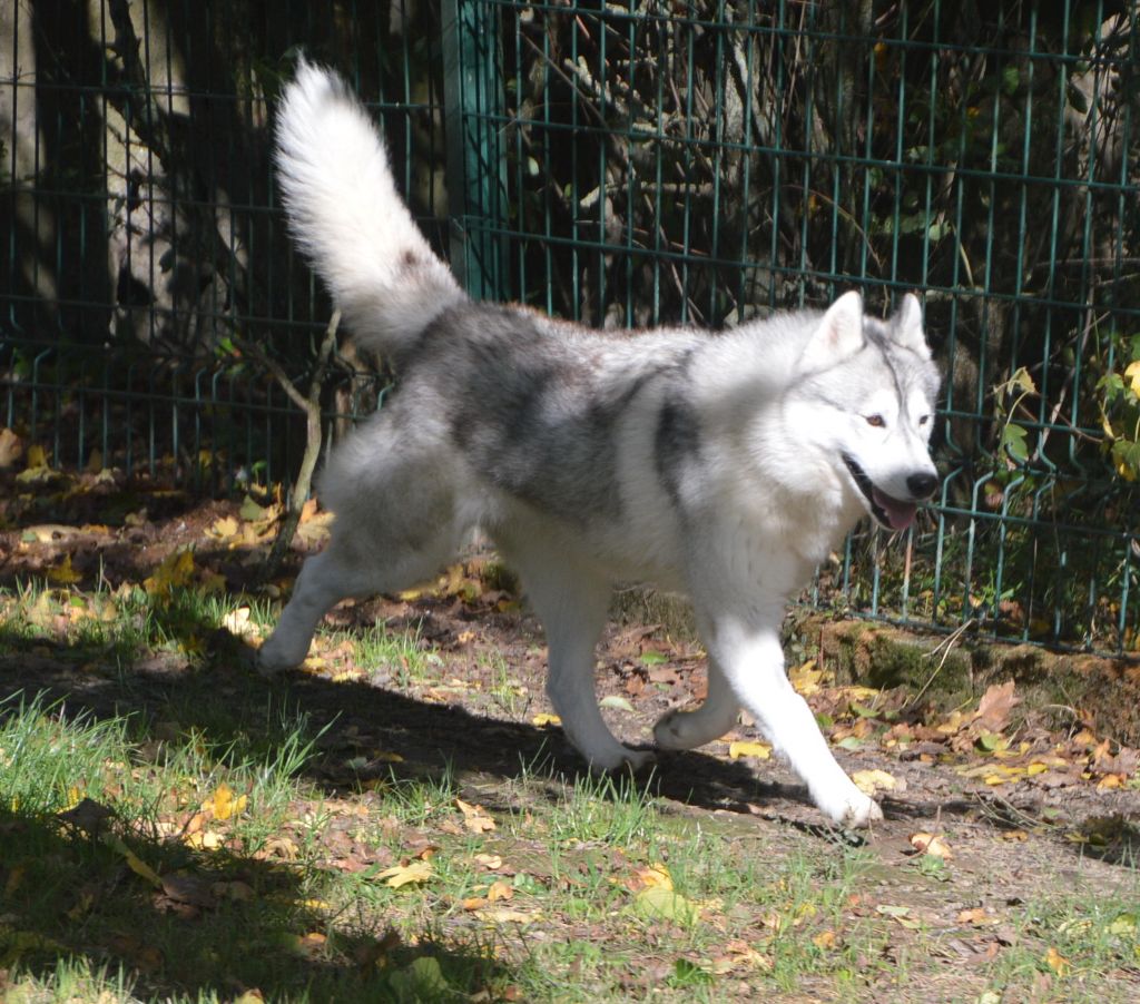 Unity Of City Dream's