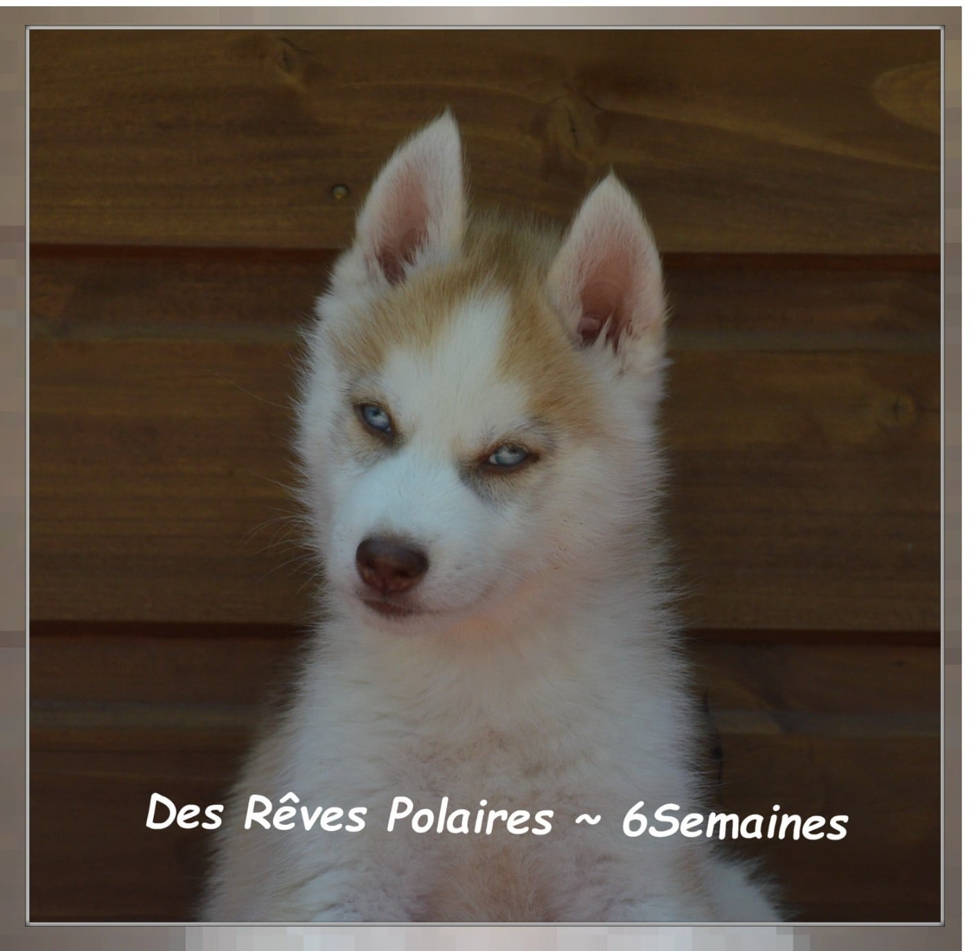 Baïa Des Rêves Polaires