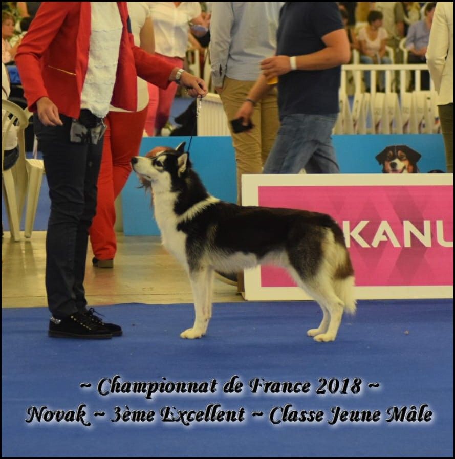 Novak of aqua ice - 3ème Excellent - Classe Jeune Mâle