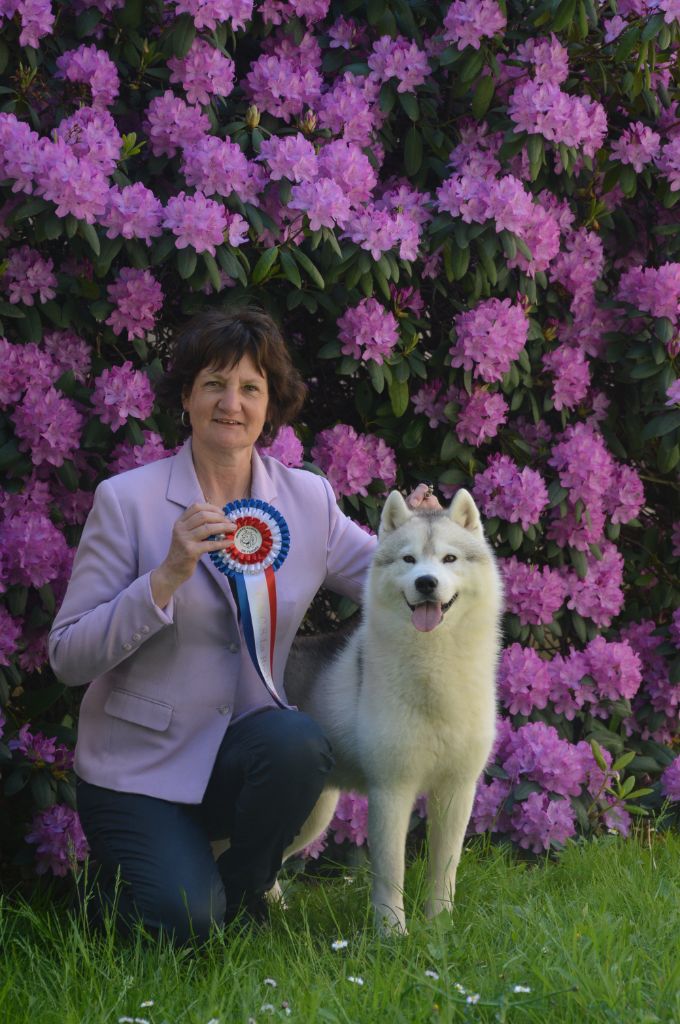 CH. Rocky de l'écume des cimes blanches - 1ère Excellent - CACS - MEILLEUR DE RACE - 1er du groupe 5 et Sélectionné dans