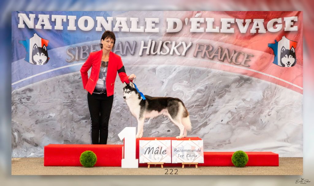 Novak of aqua ice - Recommandé 1er Choix