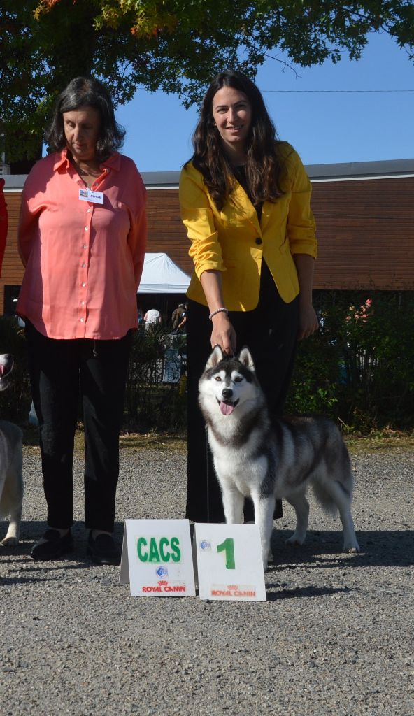 Ully Of City Dream's - CACS - Meilleur de Sexe Opposé