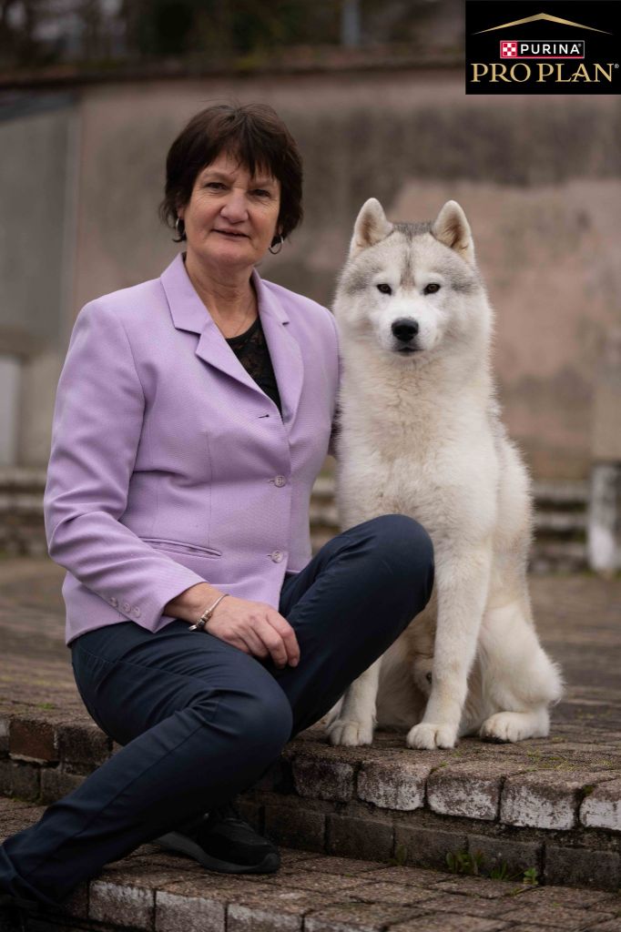 CH. Rocky de l'écume des cimes blanches - CACS - CACIB - Meilleur de Sexe opposé