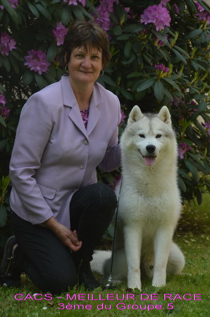 CH. Rocky de l'écume des cimes blanches - CACS - Meilleur de Race - 3ème Meilleur du groupe 5