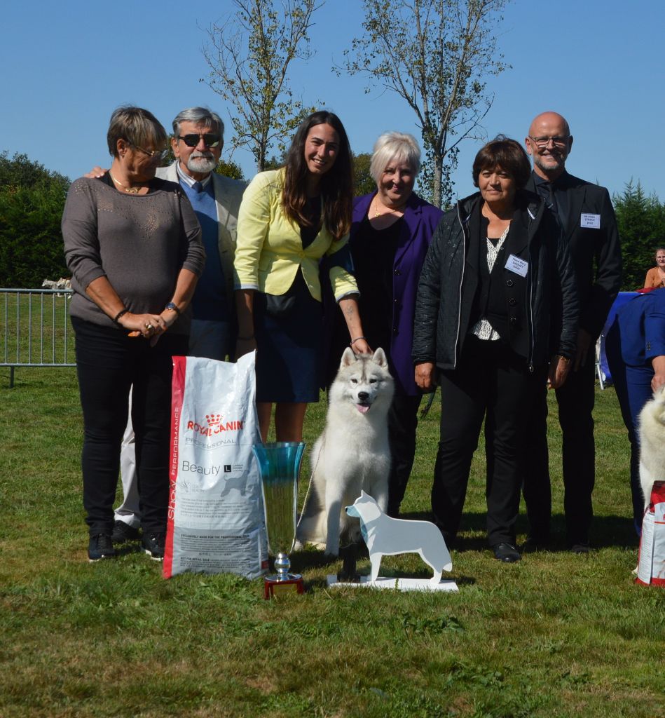 CH. Rocky de l'écume des cimes blanches - CACS de la Nationale d'élevage