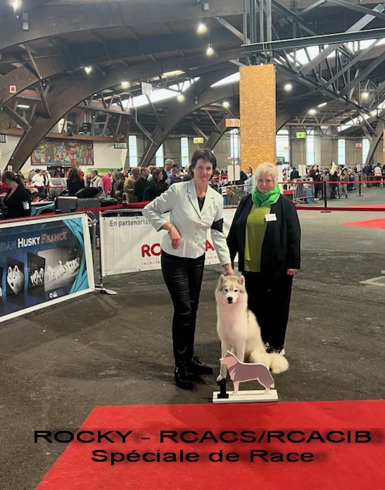 CH. Rocky de l'écume des cimes blanches - RCACS - RCACIB