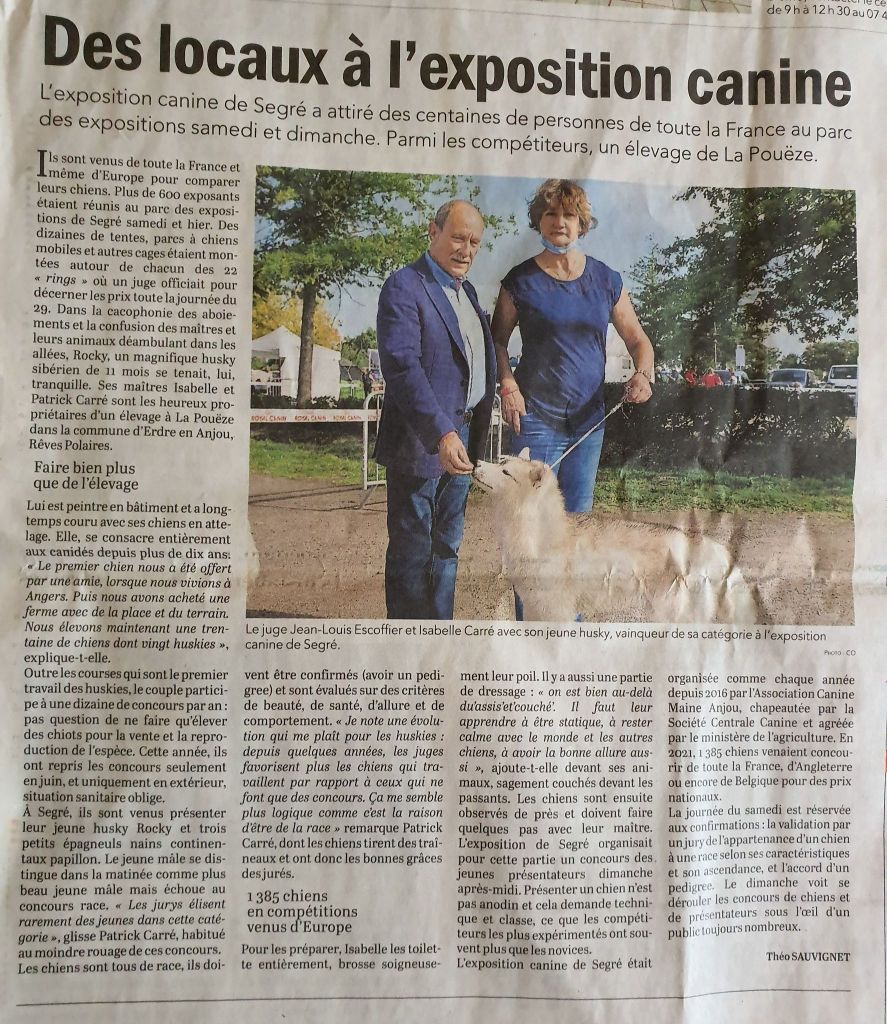 CH. Rocky de l'écume des cimes blanches - 1er Excellent - Meilleur Jeune