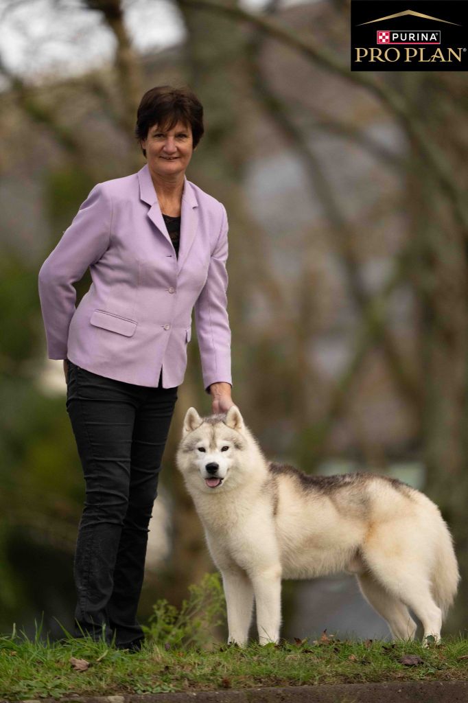 CH. Rocky de l'écume des cimes blanches - RCACS et RCACIB