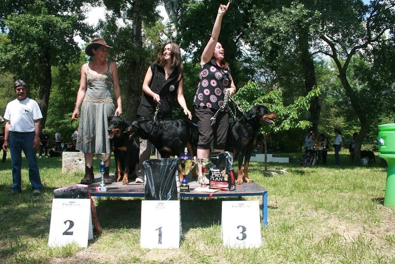 Bastet pandore des Chasseurs D'Ombre - 2ème en ring I /6