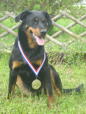 Bastet pandore des Chasseurs D'Ombre - Recommandée