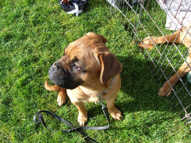 Publication : de Rophemel Auteur : BARBIER CAROLE