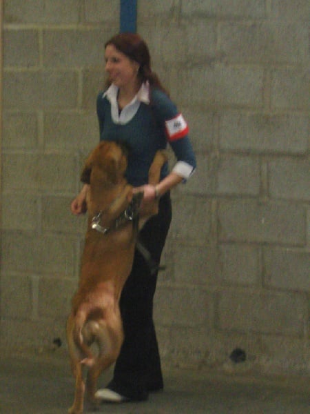 Publication : de Rophemel Auteur : BARBIER CAROLE