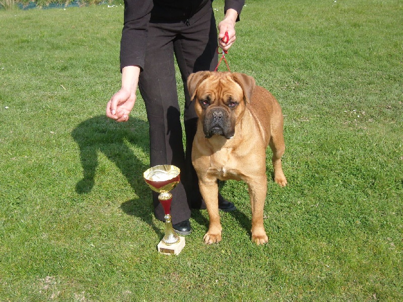 Publication : de Rophemel Auteur : BARBIER CAROLE