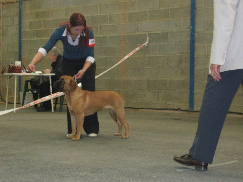 Publication : de Rophemel Auteur : BARBIER CAROLE