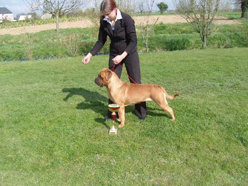 Publication : de Rophemel Auteur : BARBIER CAROLE