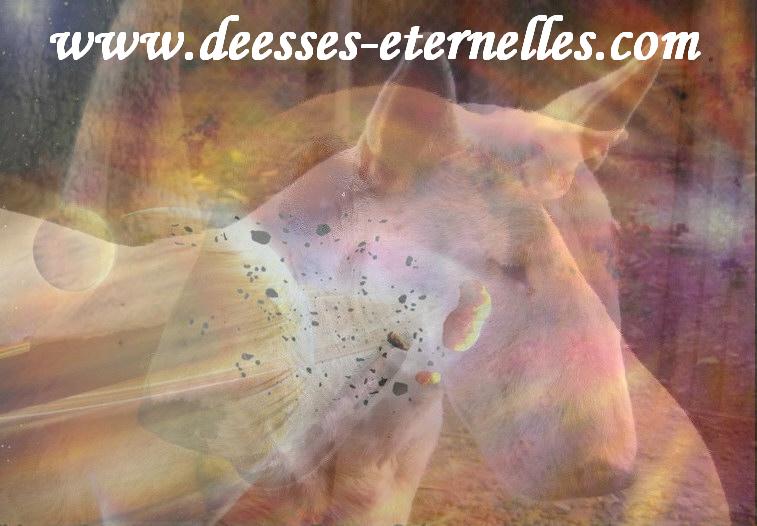 Publication : des déesses éternelles