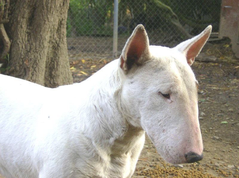 Publication : des déesses éternelles