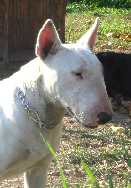 Publication : des déesses éternelles