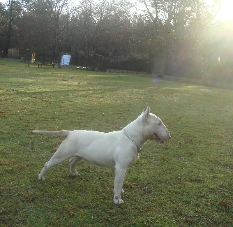 Publication : des déesses éternelles