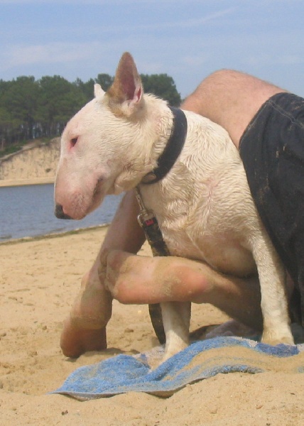 Publication : des déesses éternelles