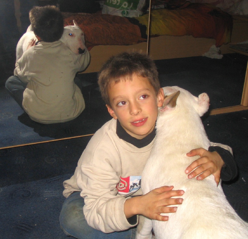 Publication : des déesses éternelles