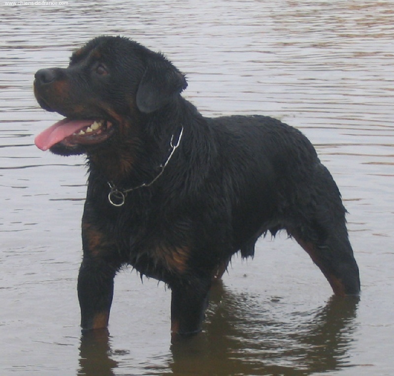 Publication : des déesses éternelles