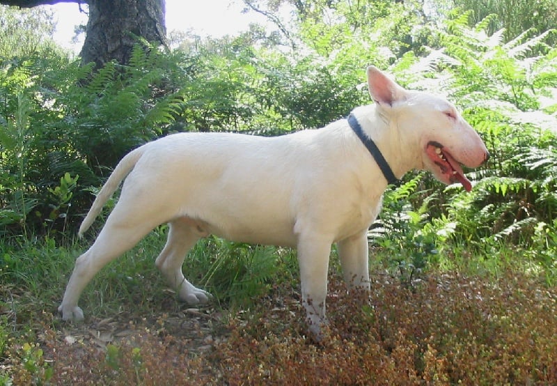 Publication : des déesses éternelles