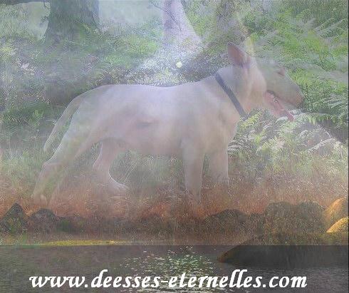 Publication : des déesses éternelles