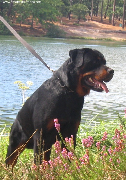 Publication : des déesses éternelles