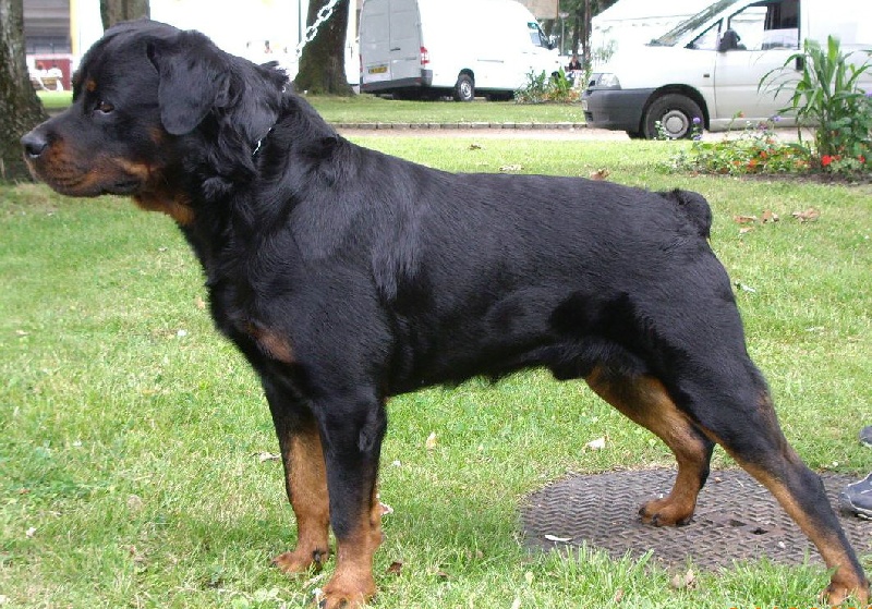 Publication : des déesses éternelles