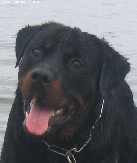 Publication : des déesses éternelles