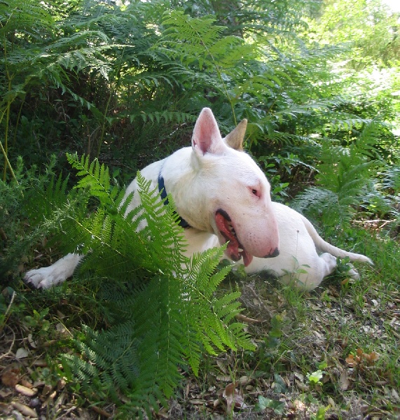 Publication : des déesses éternelles